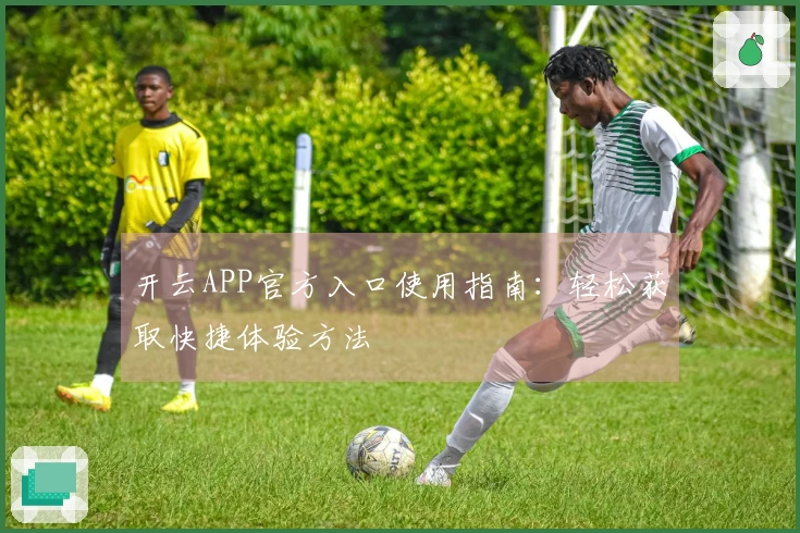 开云APP官方入口使用指南：轻松获取快捷体验方法