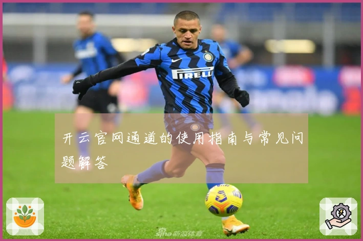 开云官网通道的使用指南与常见问题解答