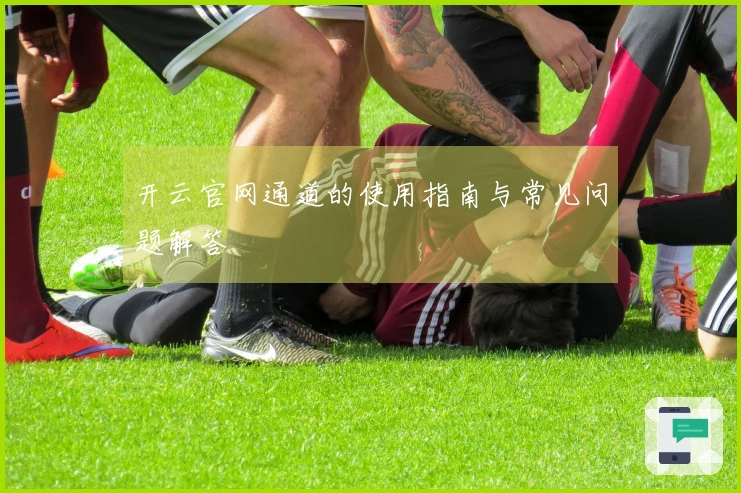 开云官网通道的使用指南与常见问题解答